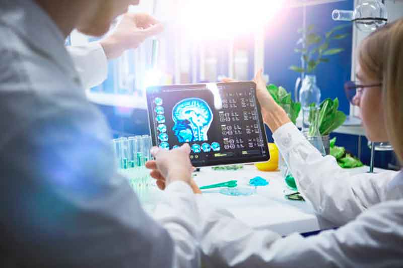 Cela dépend entièrement du cerveau Cela dépend entièrement du cerveau