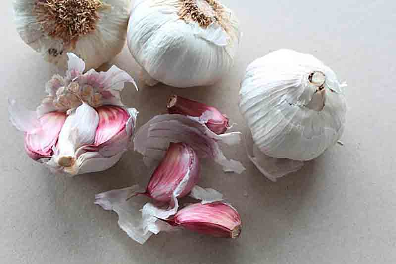 l'ail est un super aliment inestimable l'ail est un super aliment inestimable