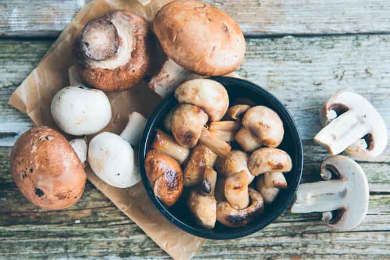 les champignons sont riches en fibres